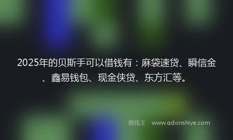 2025年的贝斯手可以借钱有：麻袋速贷、瞬信金、鑫易钱包、现金侠贷、东方汇等。