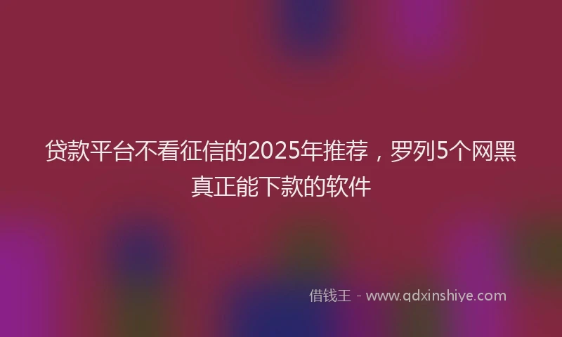 贷款平台不看征信的2025年推荐，罗列5个网黑真正能下款的软件
