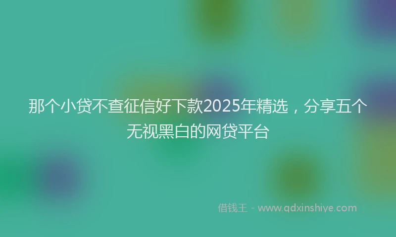 那个小贷不查征信好下款2025年精选，分享五个无视黑白的网贷平台