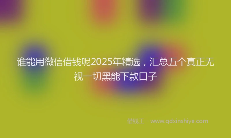 谁能用微信借钱呢2025年精选，汇总五个真正无视一切黑能下款口子