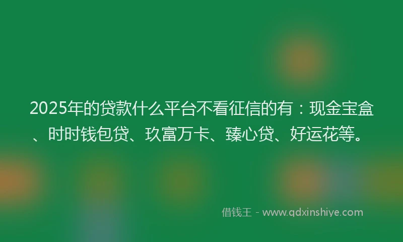 2025年的贷款什么平台不看征信的有：现金宝盒、时时钱包贷、玖富万卡、臻心贷、好运花等。
