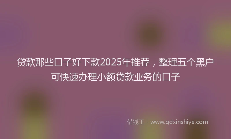 贷款那些口子好下款2025年推荐，整理五个黑户可快速办理小额贷款业务的口子
