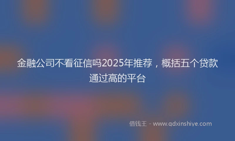 金融公司不看征信吗2025年推荐，概括五个贷款通过高的平台
