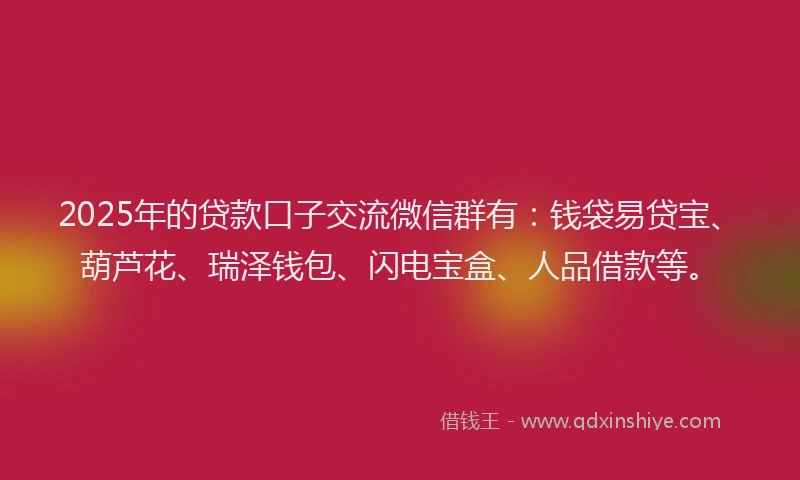 2025年的贷款口子交流微信群有：钱袋易贷宝、葫芦花、瑞泽钱包、闪电宝盒、人品借款等。