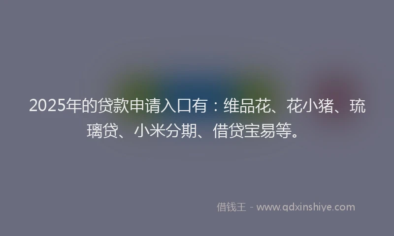 2025年的贷款申请入口有：维品花、花小猪、琉璃贷、小米分期、借贷宝易等。