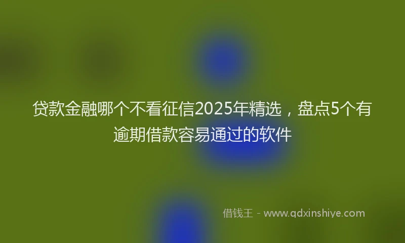贷款金融哪个不看征信2025年精选，盘点5个有逾期借款容易通过的软件