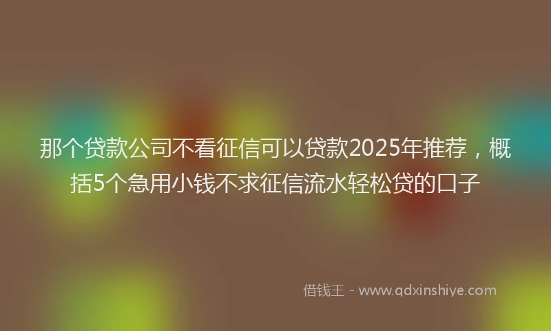 那个贷款公司不看征信可以贷款2025年推荐，概括5个急用小钱不求征信流水轻松贷的口子