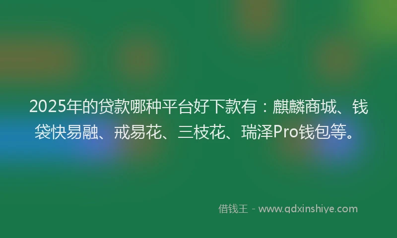 2025年的贷款哪种平台好下款有：麒麟商城、钱袋快易融、戒易花、三枝花、瑞泽Pro钱包等。