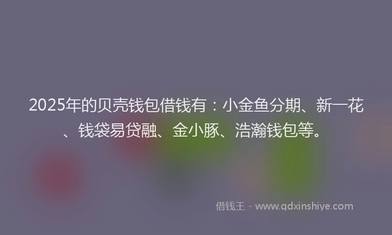 2025年的贝壳钱包借钱有：小金鱼分期、新一花、钱袋易贷融、金小豚、浩瀚钱包等。