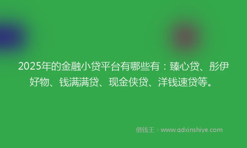 2025年的金融小贷平台有哪些有：臻心贷、彤伊好物、钱满满贷、现金侠贷、洋钱速贷等。