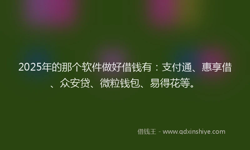 2025年的那个软件做好借钱有：支付通、惠享借、众安贷、微粒钱包、易得花等。
