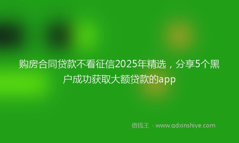 购房合同贷款不看征信2025年精选，分享5个黑户成功获取大额贷款的app
