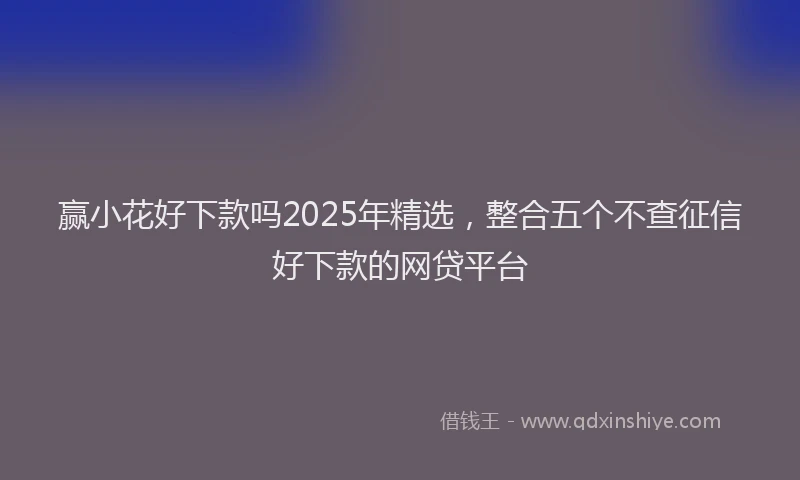 赢小花好下款吗2025年精选，整合五个不查征信好下款的网贷平台