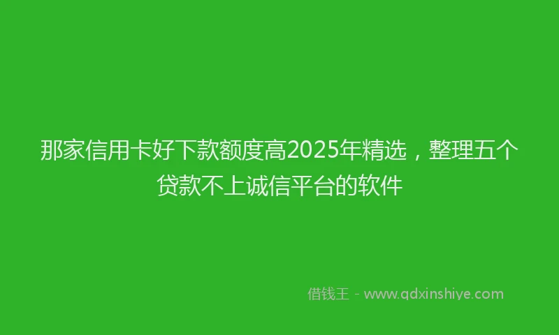 那家信用卡好下款额度高2025年精选，整理五个贷款不上诚信平台的软件
