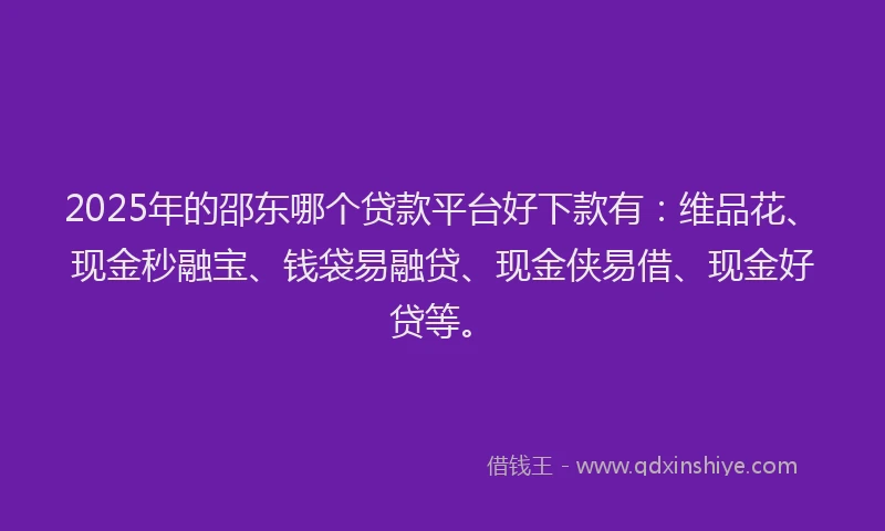 2025年的邵东哪个贷款平台好下款有：维品花、现金秒融宝、钱袋易融贷、现金侠易借、现金好贷等。