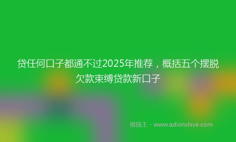 贷任何口子都通不过2025年推荐，概括五个摆脱欠款束缚贷款新口子