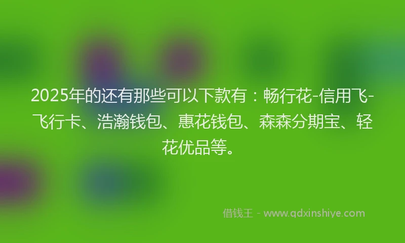2025年的还有那些可以下款有：畅行花-信用飞-飞行卡、浩瀚钱包、惠花钱包、森森分期宝、轻花优品等。