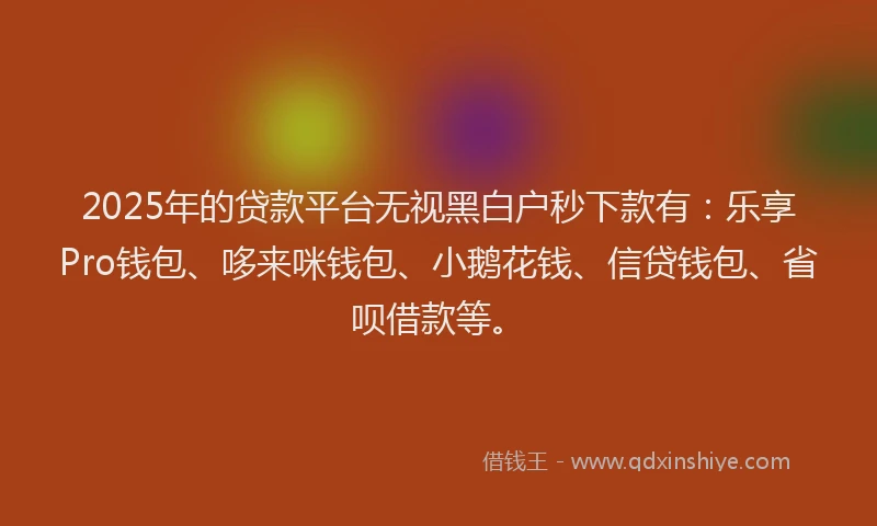 2025年的贷款平台无视黑白户秒下款有：乐享Pro钱包、哆来咪钱包、小鹅花钱、信贷钱包、省呗借款等。