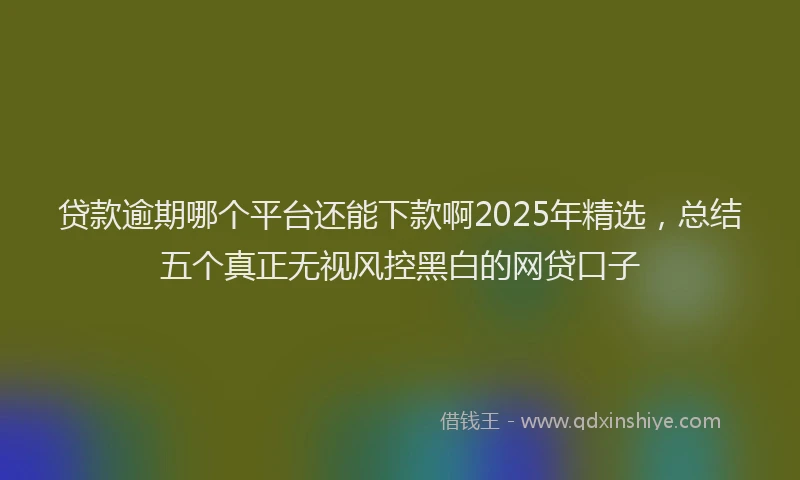 贷款逾期哪个平台还能下款啊2025年精选，总结五个真正无视风控黑白的网贷口子