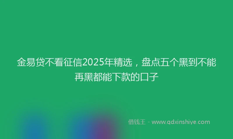 金易贷不看征信2025年精选，盘点五个黑到不能再黑都能下款的口子