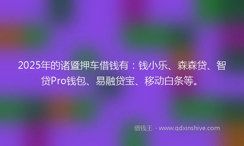 2025年的诸暨押车借钱有：钱小乐、森森贷、智贷Pro钱包、易融贷宝、移动白条等。