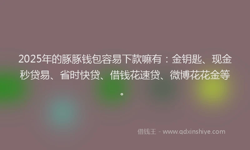 2025年的豚豚钱包容易下款嘛有：金钥匙、现金秒贷易、省时快贷、借钱花速贷、微博花花金等。