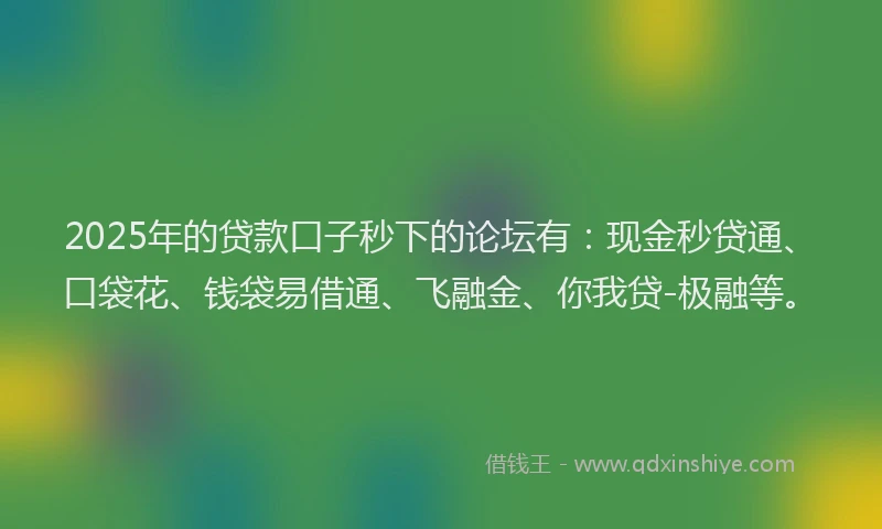 2025年的贷款口子秒下的论坛有：现金秒贷通、口袋花、钱袋易借通、飞融金、你我贷-极融等。