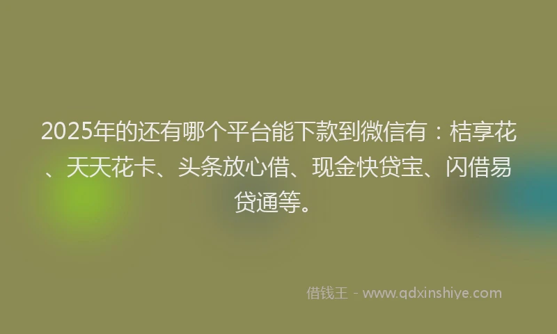2025年的还有哪个平台能下款到微信有：桔享花、天天花卡、头条放心借、现金快贷宝、闪借易贷通等。