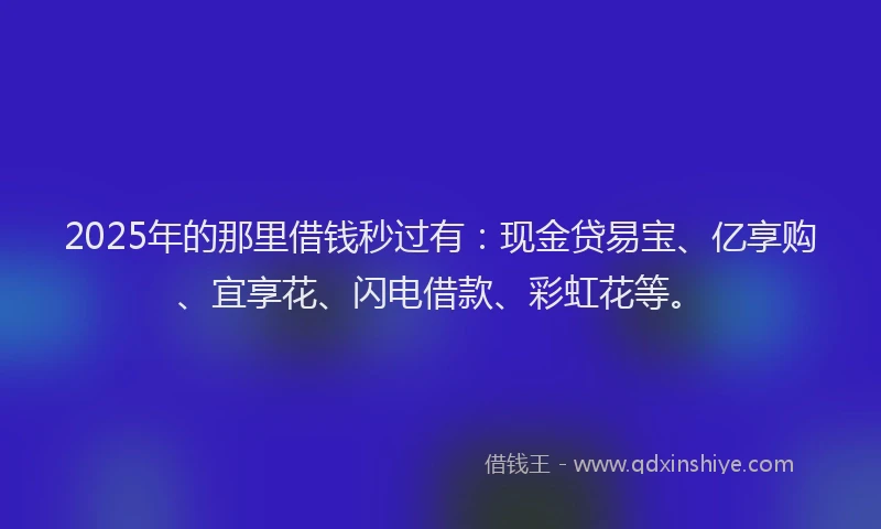 2025年的那里借钱秒过有：现金贷易宝、亿享购、宜享花、闪电借款、彩虹花等。