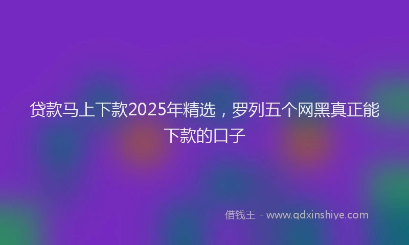 贷款马上下款2025年精选，罗列五个网黑真正能下款的口子