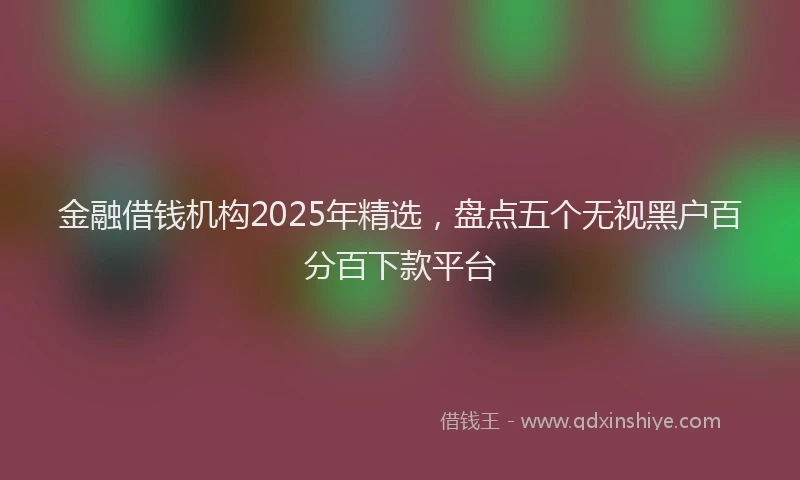 金融借钱机构2025年精选，盘点五个无视黑户百分百下款平台