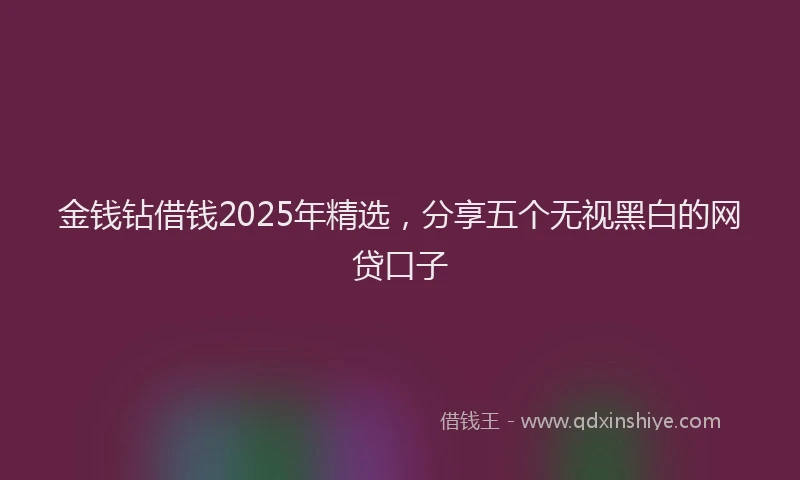 金钱钻借钱2025年精选，分享五个无视黑白的网贷口子