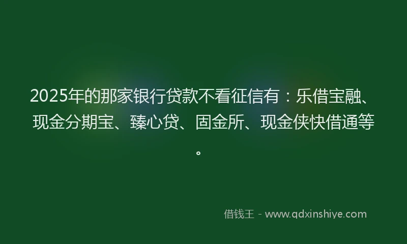 2025年的那家银行贷款不看征信有：乐借宝融、现金分期宝、臻心贷、固金所、现金侠快借通等。