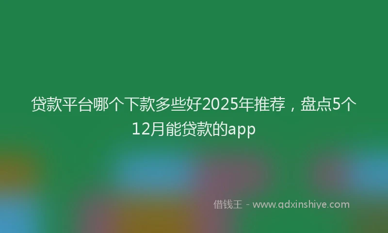 贷款平台哪个下款多些好2025年推荐，盘点5个12月能贷款的app
