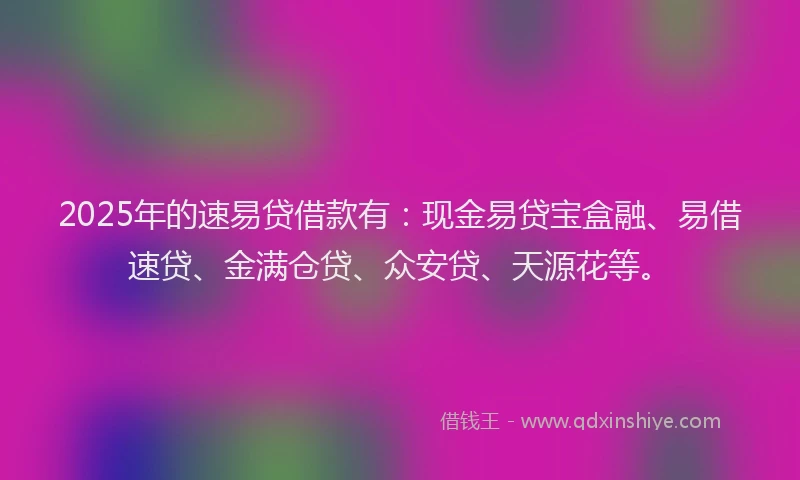 2025年的速易贷借款有：现金易贷宝盒融、易借速贷、金满仓贷、众安贷、天源花等。