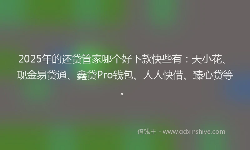 2025年的还贷管家哪个好下款快些有：天小花、现金易贷通、鑫贷Pro钱包、人人快借、臻心贷等。