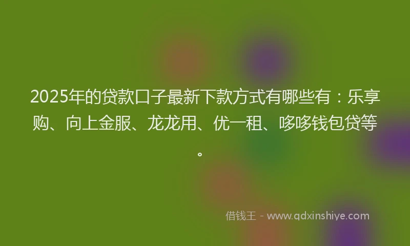 2025年的贷款口子最新下款方式有哪些有：乐享购、向上金服、龙龙用、优一租、哆哆钱包贷等。