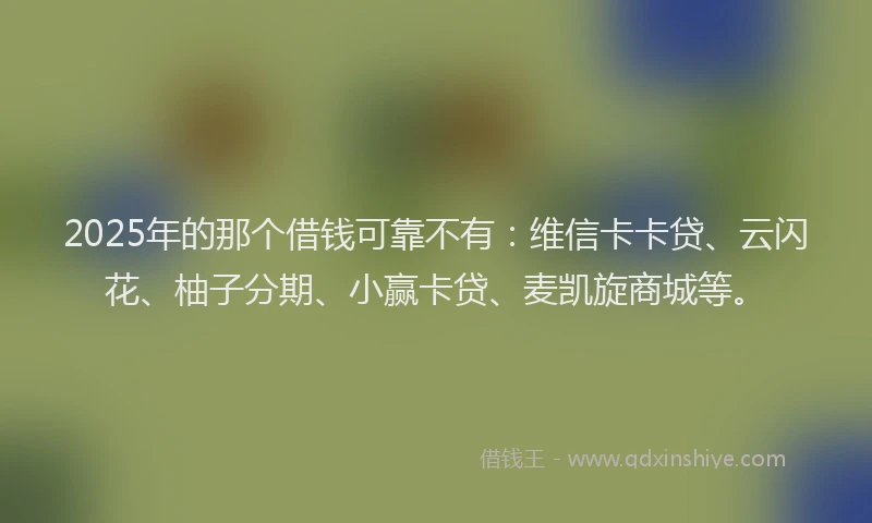 2025年的那个借钱可靠不有：维信卡卡贷、云闪花、柚子分期、小赢卡贷、麦凯旋商城等。