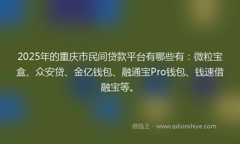 2025年的重庆市民间贷款平台有哪些有：微粒宝盒、众安贷、金亿钱包、融通宝Pro钱包、钱速借融宝等。