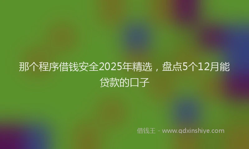 那个程序借钱安全2025年精选，盘点5个12月能贷款的口子