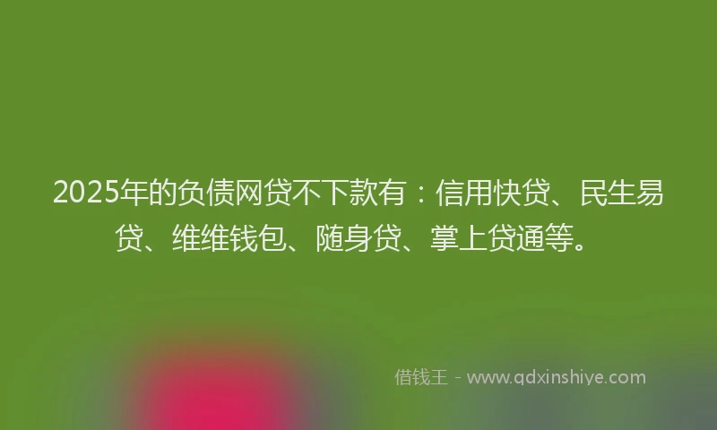 2025年的负债网贷不下款有：信用快贷、民生易贷、维维钱包、随身贷、掌上贷通等。