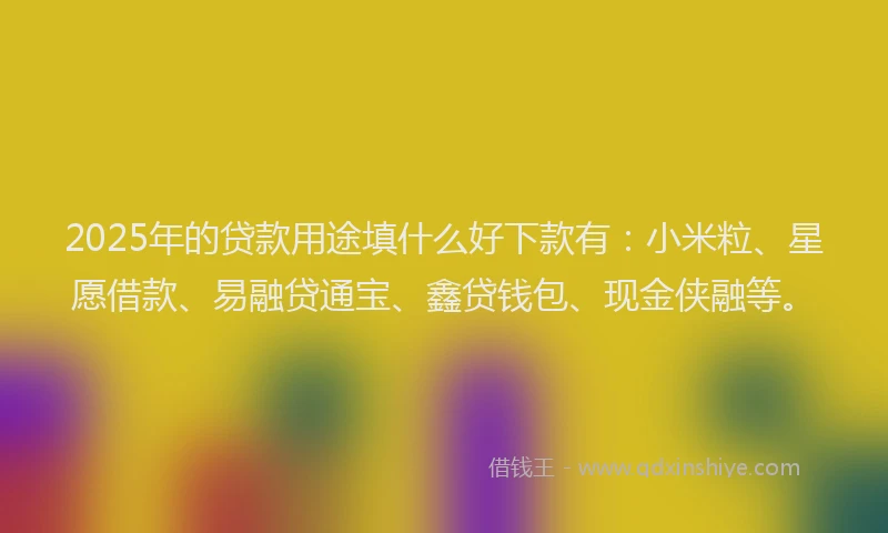 2025年的贷款用途填什么好下款有：小米粒、星愿借款、易融贷通宝、鑫贷钱包、现金侠融等。