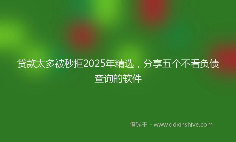 贷款太多被秒拒2025年精选，分享五个不看负债查询的软件