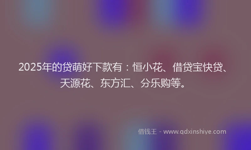 2025年的贷萌好下款有：恒小花、借贷宝快贷、天源花、东方汇、分乐购等。
