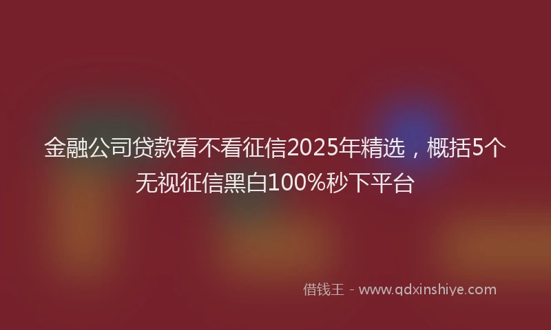 金融公司贷款看不看征信2025年精选，概括5个无视征信黑白100%秒下平台