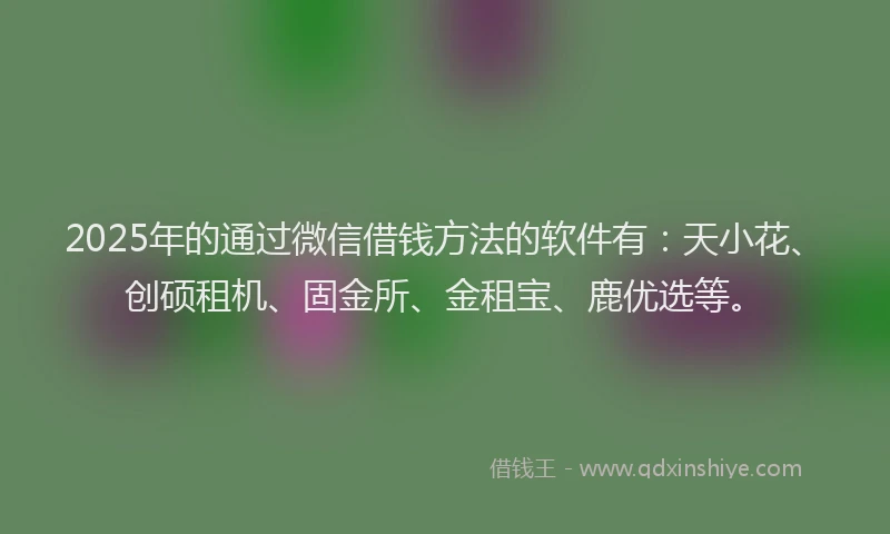 2025年的通过微信借钱方法的软件有：天小花、创硕租机、固金所、金租宝、鹿优选等。
