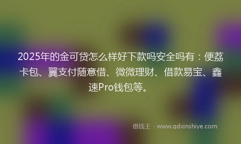 2025年的金可贷怎么样好下款吗安全吗有：便荔卡包、翼支付随意借、微微理财、借款易宝、鑫速Pro钱包等。