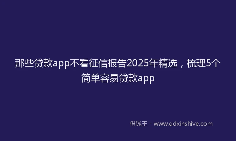 那些贷款app不看征信报告2025年精选，梳理5个简单容易贷款app