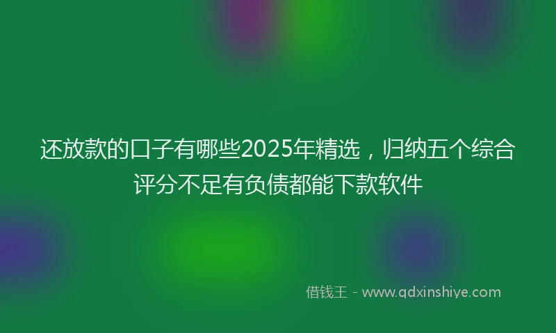 还放款的口子有哪些2025年精选，归纳五个综合评分不足有负债都能下款软件