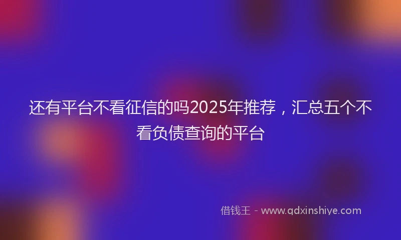 还有平台不看征信的吗2025年推荐，汇总五个不看负债查询的平台
